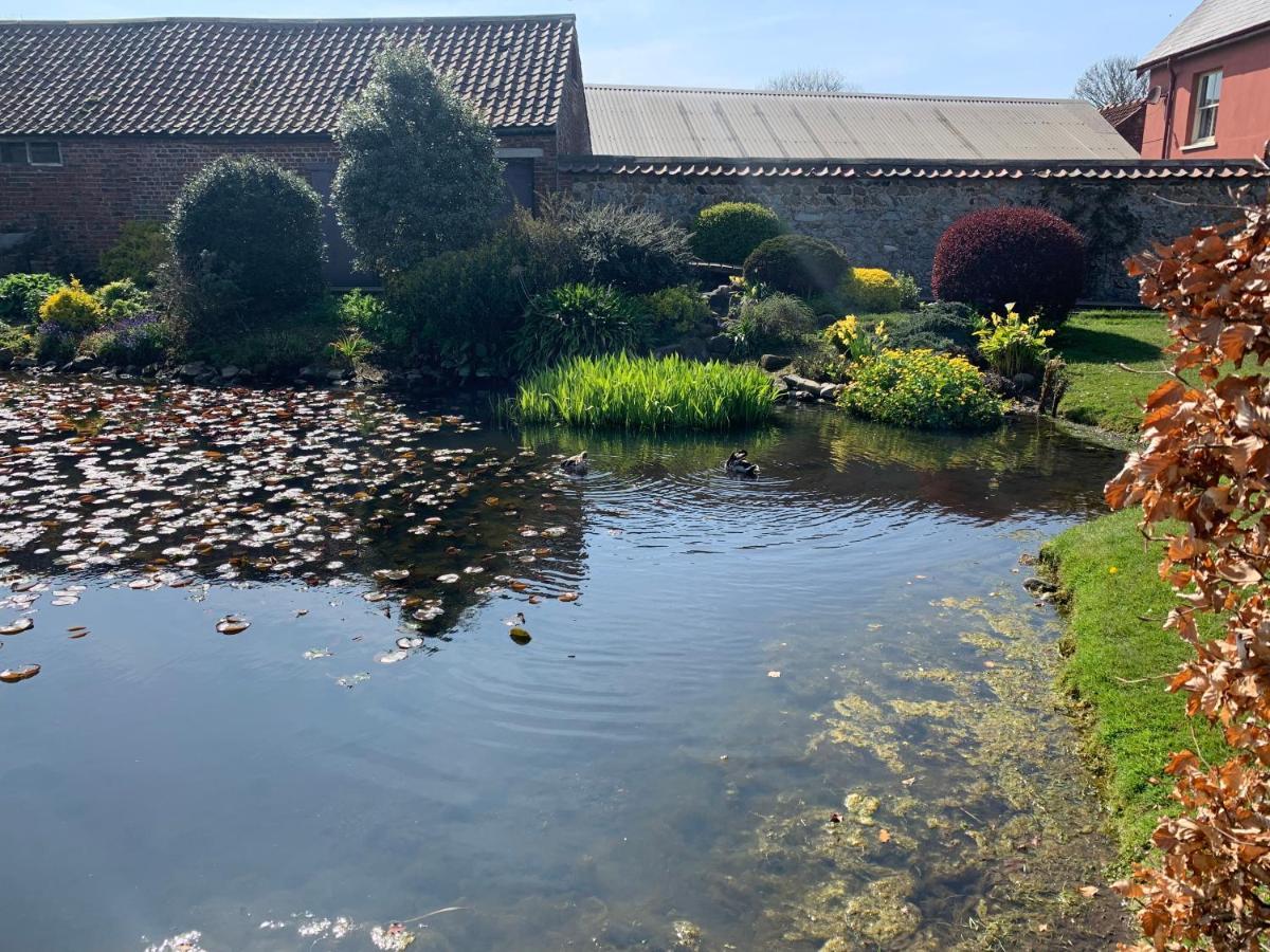 Cosy Village Location - One Bedroom Barn Holiday home